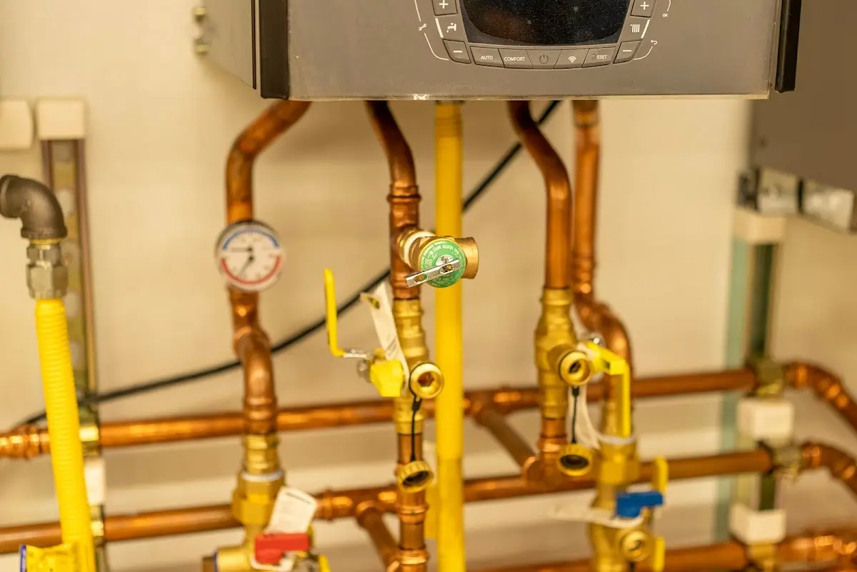 Licensed technician providing Sump Pump Repair for a homeowner in Jerusalem